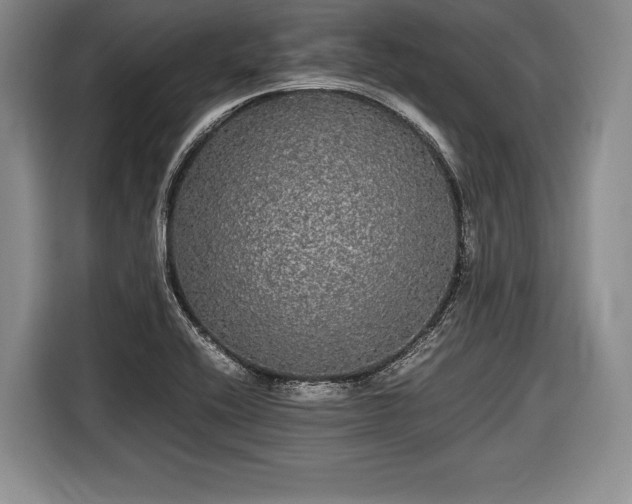 X0000116441416200912151231