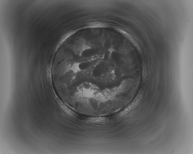 X0000116441417200912151231