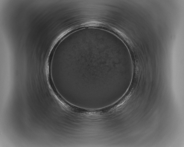 X0000116441418200912151231