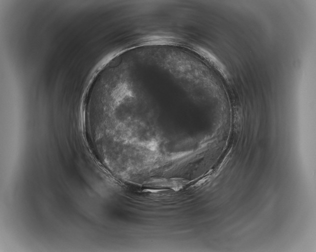 X0000116441419200912151231