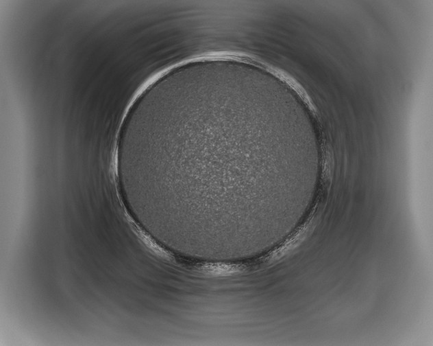 X0000116441420200912151231