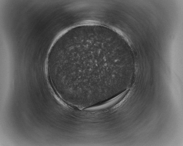 X0000116441421200912151231