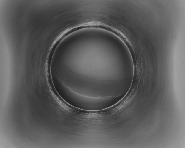 X0000116441422200912151231