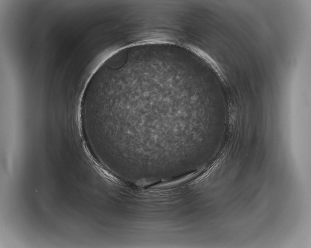 X0000116441423200912151231