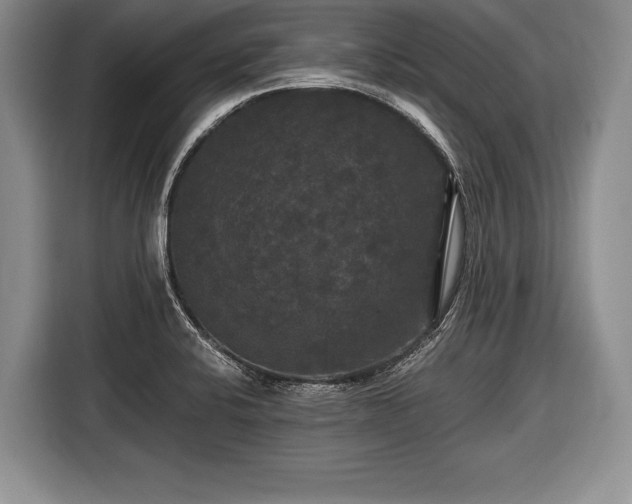 X0000116441424200912151231