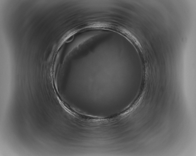 X0000116441425200912151231