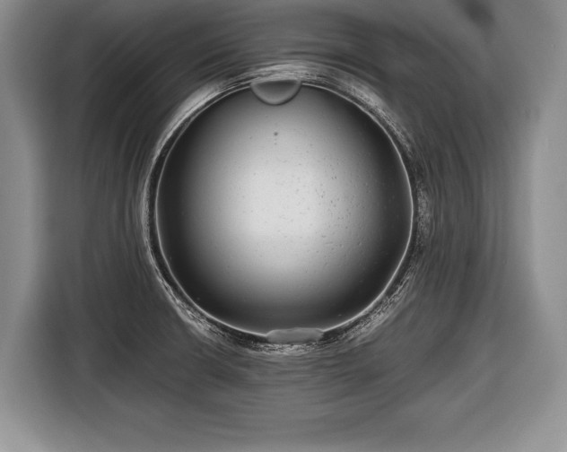 X0000116441426200912151231