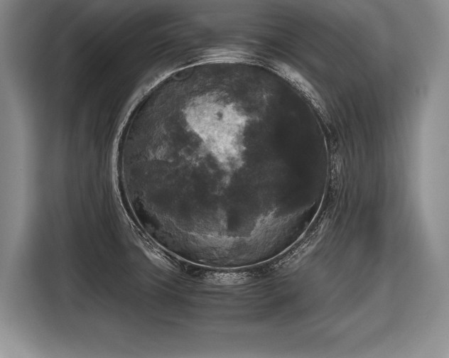 X0000116441427200912151231