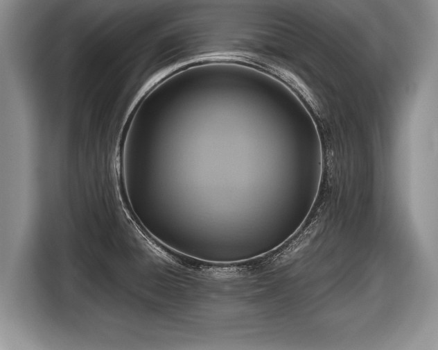 X0000116441428200912151231