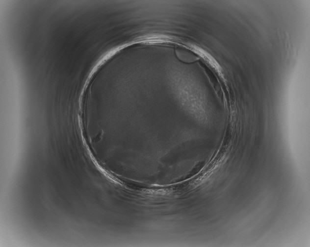 X0000116441429200912151231
