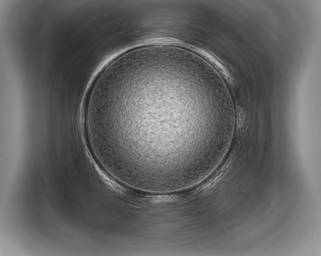 X0000116441430200912151231