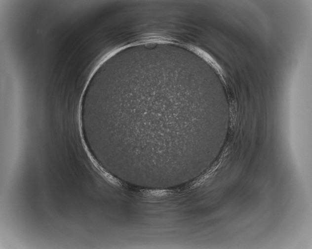 X0000116441431200912151231