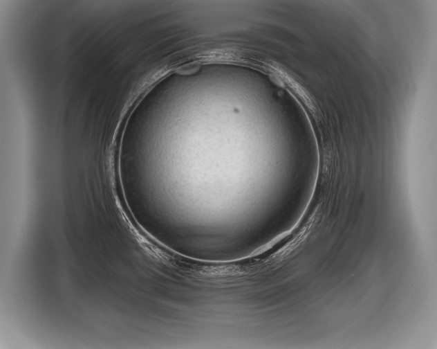 X0000116441434200912151231