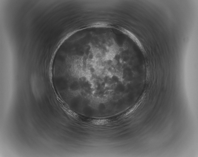 X0000116441435200912151231
