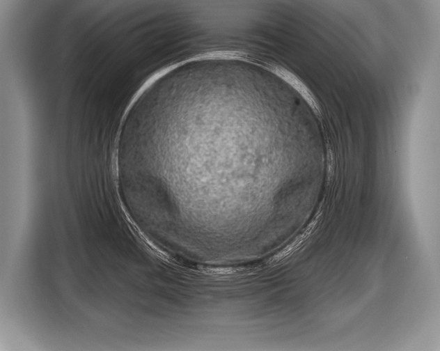 X0000116441436200912151231