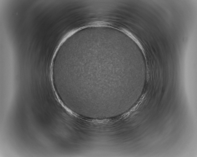 X0000116441437200912151231
