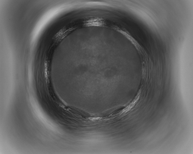 X0000116441438200912151231