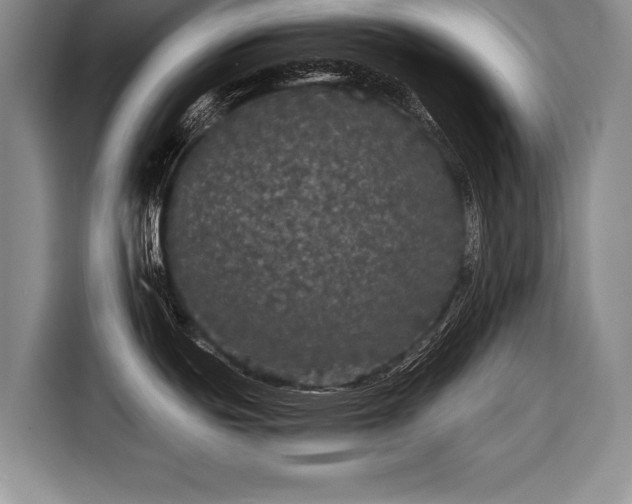 X0000116441439200912151231