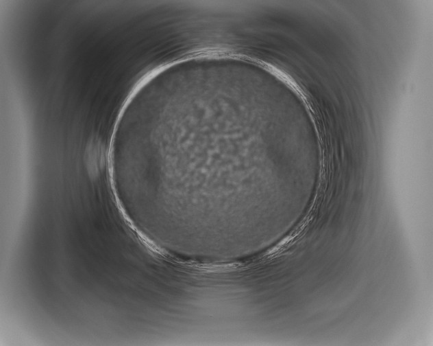 X0000116441440200912151231