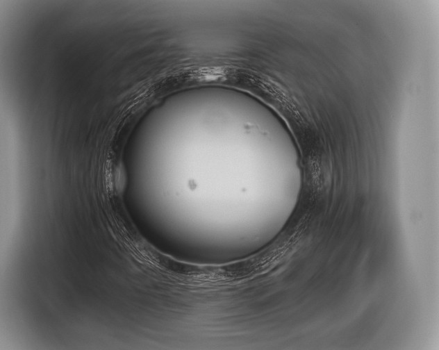 X0000116441442200912151230