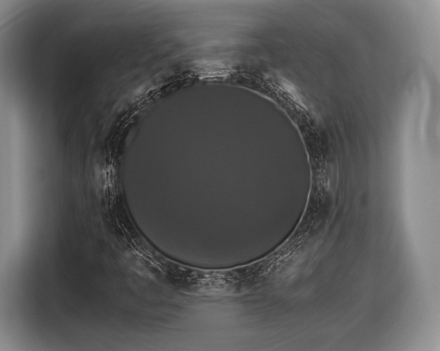 X0000116441445200912151230
