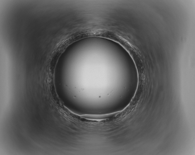 X0000116441447200912151230