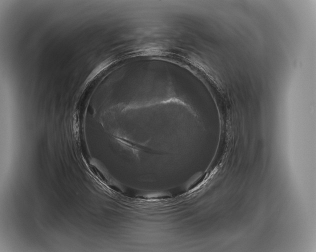 X0000116441450200912151230