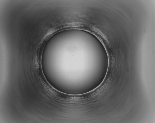 X0000116441451200912151230