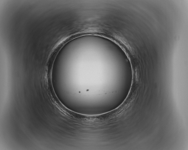 X0000116441452200912151230