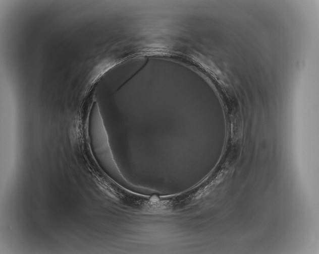 X0000116441453200912151230