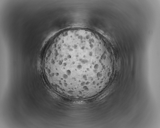 X0000116441454200912151230
