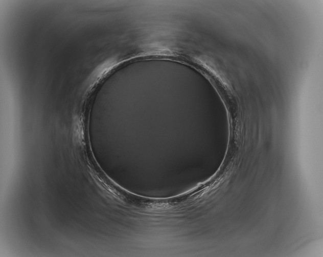 X0000116441455200912151230