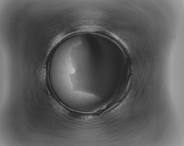 X0000116441459200912151230