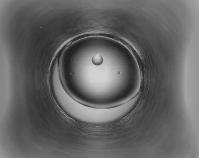 X0000116441460200912151230