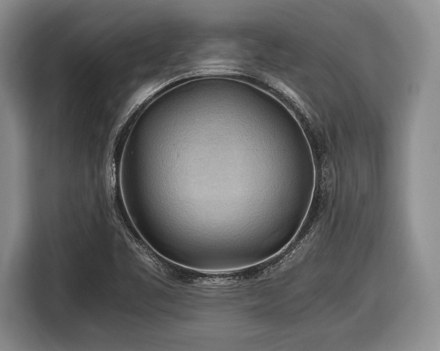 X0000116441461200912151230