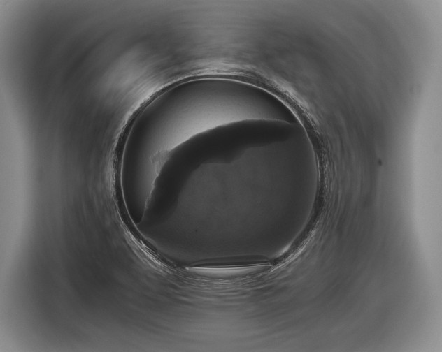 X0000116441463200912151230
