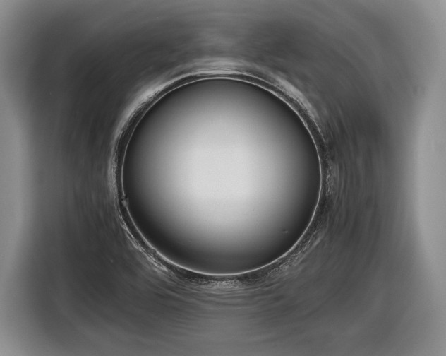 X0000116441464200912151230