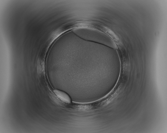 X0000116441465200912151230
