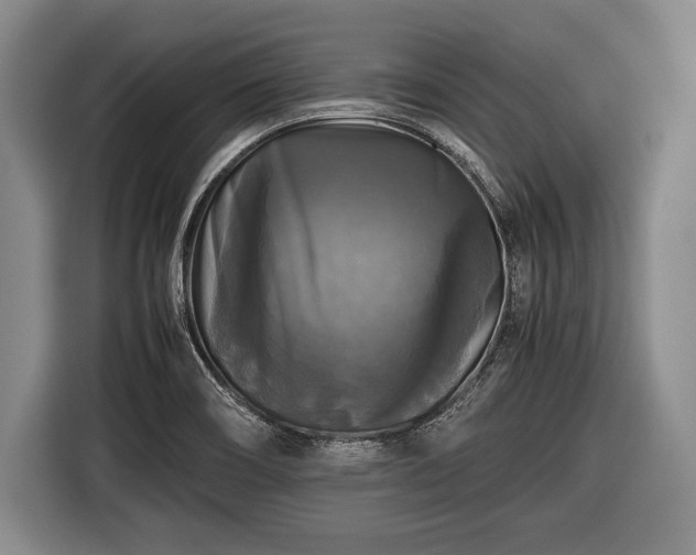 X0000116441466200912151230