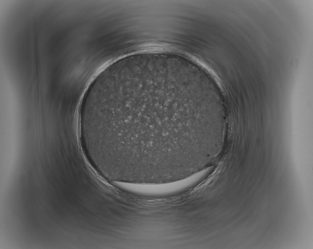 X0000116441467200912151230