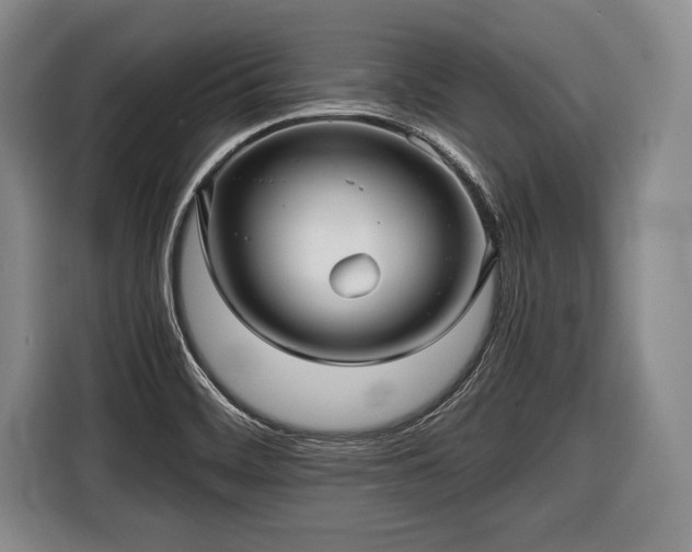 X0000116441468200912151230