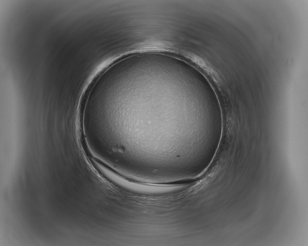 X0000116441469200912151230