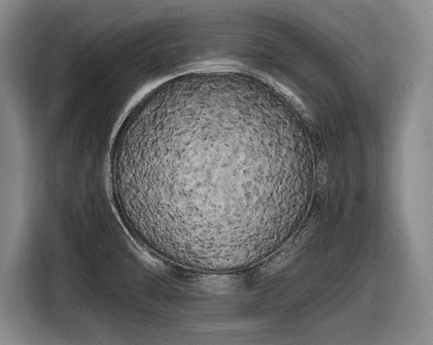 X0000116441470200912151230