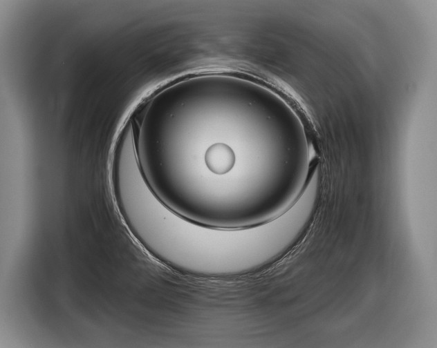 X0000116441472200912151230