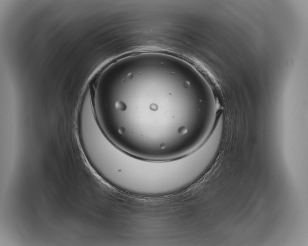 X0000116441476200912151230
