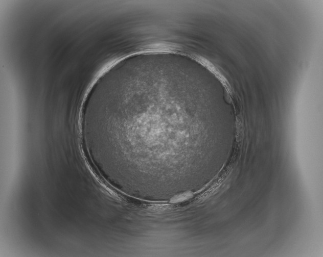 X0000116441477200912151230