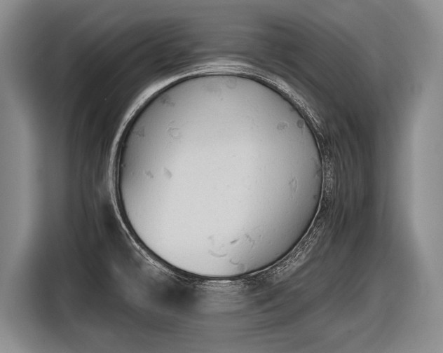 X0000116441478200912151230