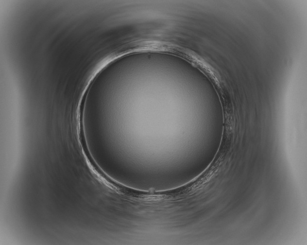 X0000116441479200912151230