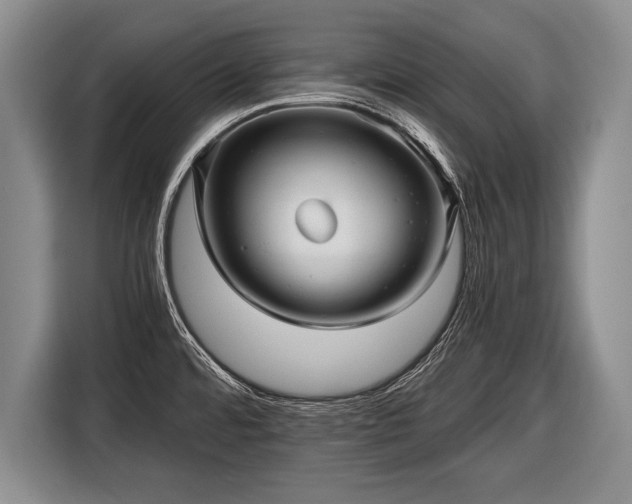 X0000116441480200912151230