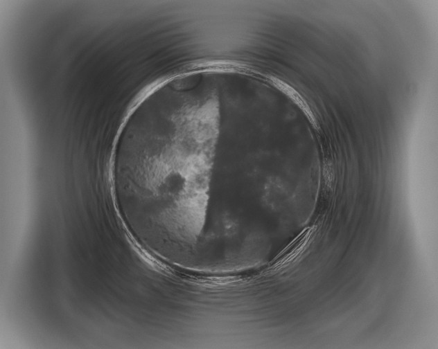 X0000116441482200912151230